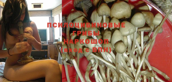 а пвп мука Нея