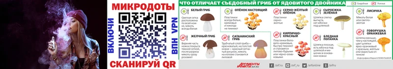 Псилоцибиновые грибы Psilocybe  что такое   Сосновоборск 